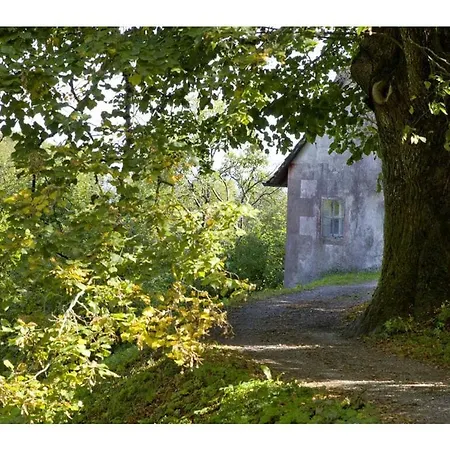 Apartment Longhouse Hohenstein Castle *