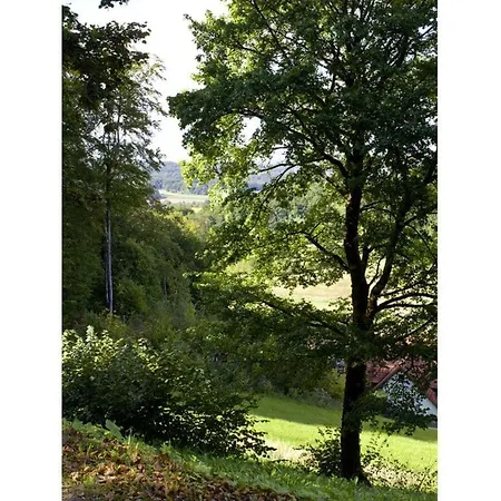 Appartement Longhouse Hohenstein Castle Kirchensittenbach